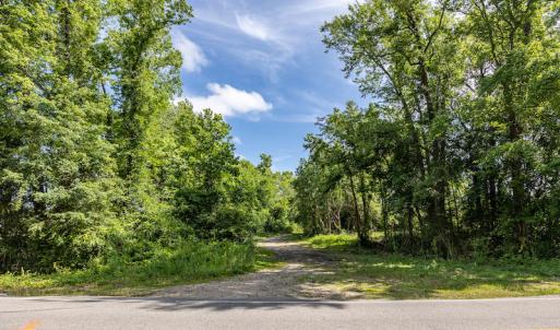 Photo #40 of 1554 Josey Williams Road , Erwin, NC 57.4 acres
