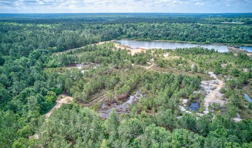 Photo #6 of 1554 Josey Williams Road , Erwin, NC 57.4 acres