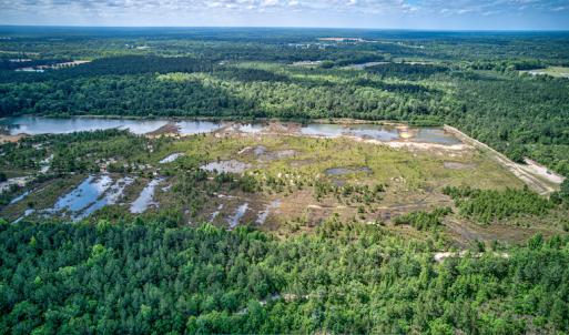 Photo #7 of 1554 Josey Williams Road , Erwin, NC 57.4 acres