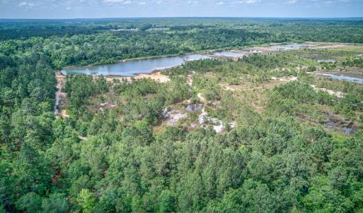Photo #8 of 1554 Josey Williams Road , Erwin, NC 57.4 acres