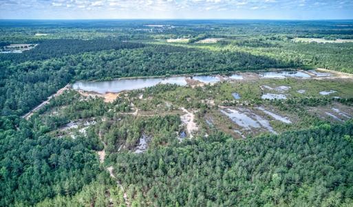 Photo #9 of 1554 Josey Williams Road , Erwin, NC 57.4 acres