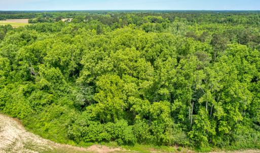 Photo #11 of SOLD property in Off Highway 130 , Fairmont, NC 5.3 acres
