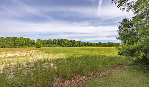 Photo #13 of SOLD property in Off Highway 130 , Fairmont, NC 5.3 acres