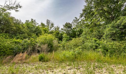 Photo #14 of SOLD property in Off Highway 130 , Fairmont, NC 5.3 acres