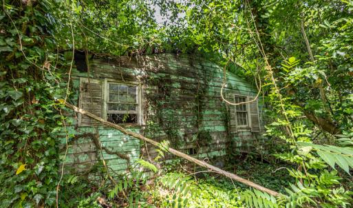 Photo #17 of SOLD property in Off Highway 130 , Fairmont, NC 5.3 acres