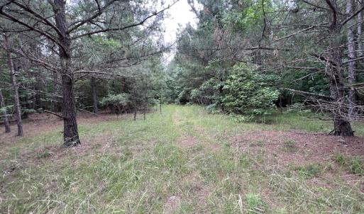 Photo #11 of SOLD property in Off Pasture Gate Road, Macon, NC 29.9 acres
