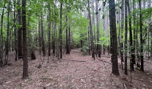 Photo #12 of Off Pasture Gate Road, Macon, NC 29.9 acres