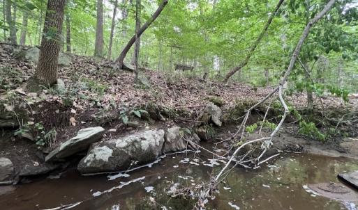 Photo #14 of SOLD property in Off Pasture Gate Road, Macon, NC 29.9 acres