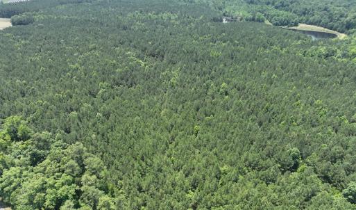 Photo #7 of SOLD property in Off Pasture Gate Road, Macon, NC 29.9 acres