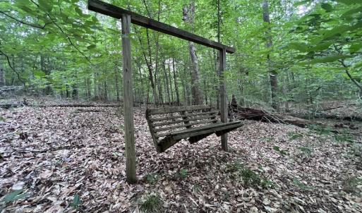 Photo #22 of SOLD property in Off Pasture Gate Road, Macon, NC 29.9 acres