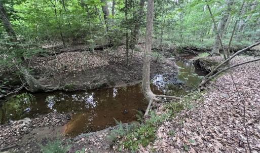 Photo #18 of SOLD property in Off Pasture Gate Road, Macon, NC 29.9 acres