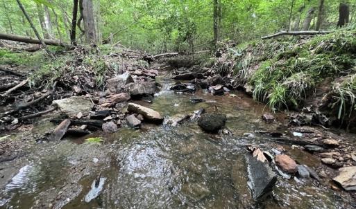 Photo #19 of SOLD property in Off Pasture Gate Road, Macon, NC 29.9 acres