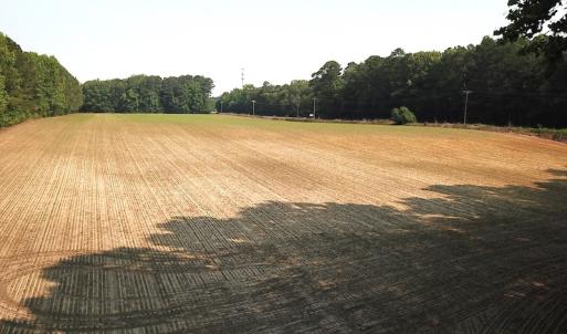 Photo #11 of SOLD property in Off Rt. 460, Ivor, VA 22.9 acres
