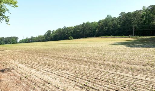 Photo #12 of SOLD property in Off Rt. 460, Ivor, VA 22.9 acres