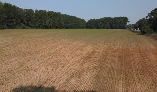 Photo #13 of SOLD property in Off Rt. 460, Ivor, VA 22.9 acres