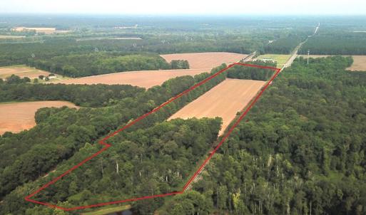 Photo #3 of SOLD property in Off Rt. 460, Ivor, VA 22.9 acres