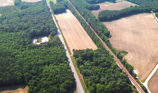 Photo #6 of SOLD property in Off Rt. 460, Ivor, VA 22.9 acres