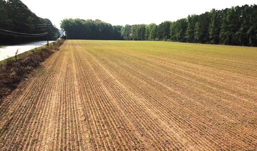 Photo #9 of SOLD property in Off Rt. 460, Ivor, VA 22.9 acres