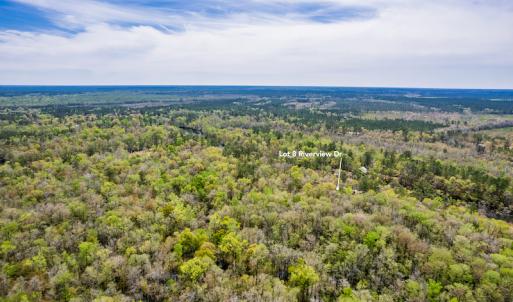 Photo #15 of SOLD property in Off Riverview Drive, Burgaw, NC 1.5 acres