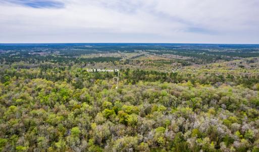 Photo #16 of SOLD property in Off Riverview Drive, Burgaw, NC 1.5 acres