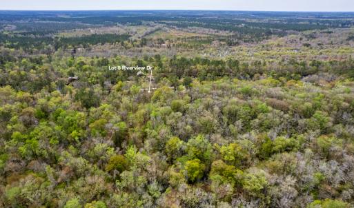 Photo #18 of SOLD property in Off Riverview Drive, Burgaw, NC 1.5 acres