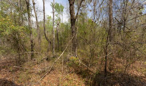 Photo #23 of SOLD property in Off Riverview Drive, Burgaw, NC 1.5 acres