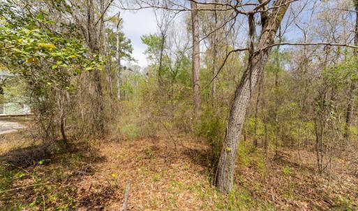 Photo #26 of SOLD property in Off Riverview Drive, Burgaw, NC 1.5 acres