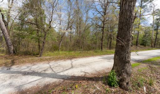 Photo #27 of SOLD property in Off Riverview Drive, Burgaw, NC 1.5 acres