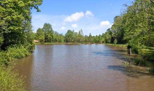 Photo #36 of SOLD property in 15163 Rice Rd, Beaverdam, VA 37.6 acres