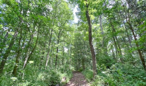 Photo #45 of SOLD property in 15163 Rice Rd, Beaverdam, VA 37.6 acres