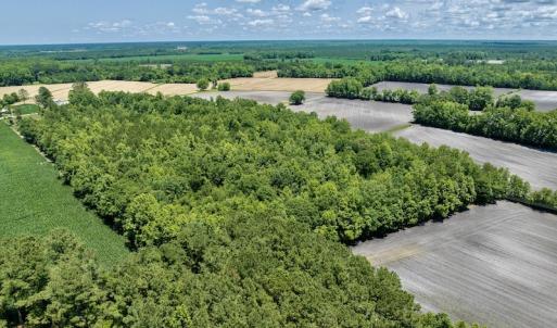 Photo #9 of SOLD property in East Old Dover Road , Dover, NC 15.0 acres