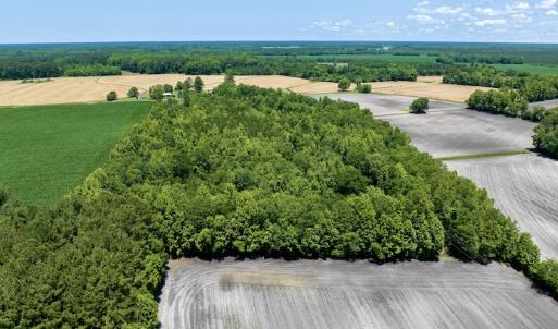 Photo #10 of SOLD property in East Old Dover Road , Dover, NC 15.0 acres