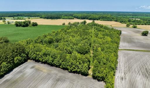 Photo #11 of SOLD property in East Old Dover Road , Dover, NC 15.0 acres