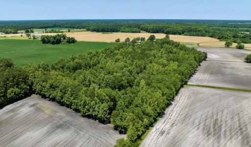 Photo #12 of SOLD property in East Old Dover Road , Dover, NC 15.0 acres