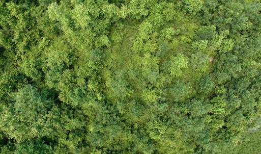 Photo #14 of SOLD property in East Old Dover Road , Dover, NC 15.0 acres