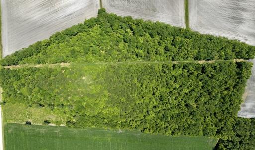 Photo #15 of SOLD property in East Old Dover Road , Dover, NC 15.0 acres