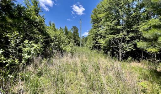 Photo #21 of SOLD property in East Old Dover Road , Dover, NC 15.0 acres