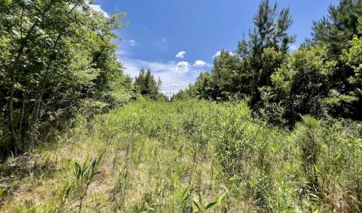 Photo #22 of SOLD property in East Old Dover Road , Dover, NC 15.0 acres