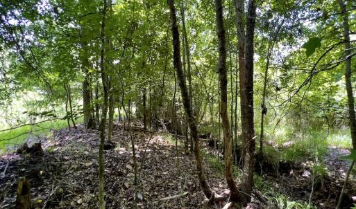 Photo #23 of SOLD property in East Old Dover Road , Dover, NC 15.0 acres