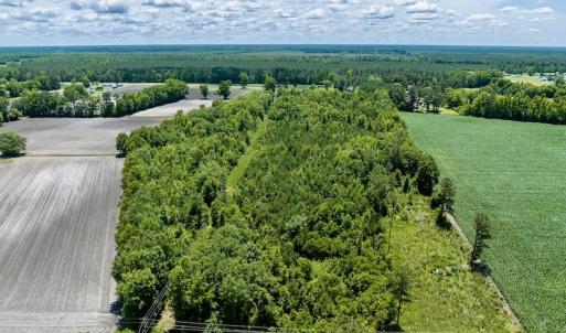 Photo #3 of SOLD property in East Old Dover Road , Dover, NC 15.0 acres