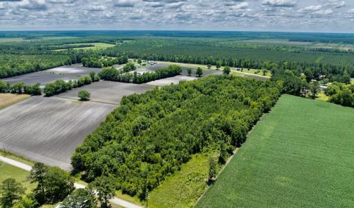 Photo #6 of SOLD property in East Old Dover Road , Dover, NC 15.0 acres