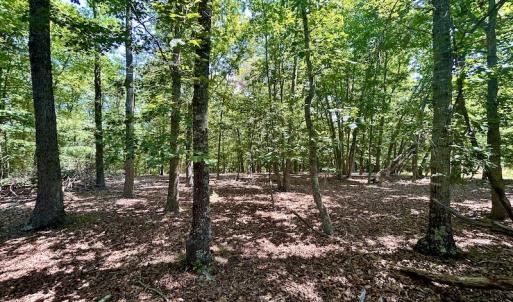 Photo #20 of Off Robin Ridge Court, Pittsville, VA 3.9 acres