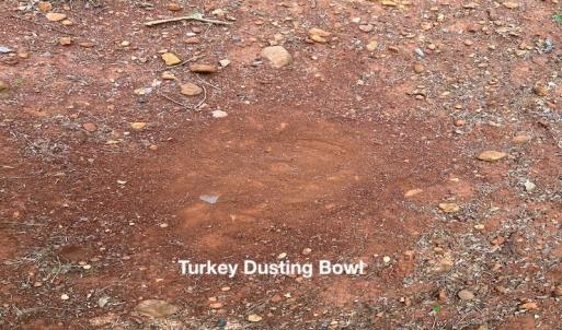 Photo #21 of Off Robin Ridge Court, Pittsville, VA 3.9 acres