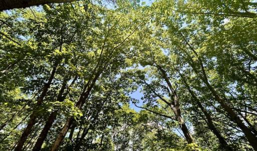 Photo #22 of Off Robin Ridge Court, Pittsville, VA 3.9 acres