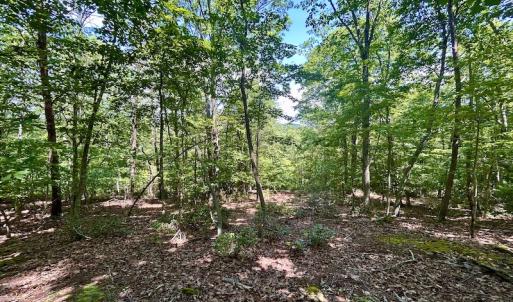 Photo #23 of Off Robin Ridge Court, Pittsville, VA 3.9 acres