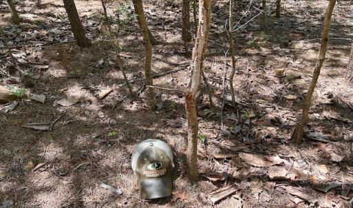 Photo #24 of Off Robin Ridge Court, Pittsville, VA 3.9 acres