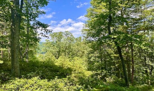 Photo #25 of Off Robin Ridge Court, Pittsville, VA 3.9 acres