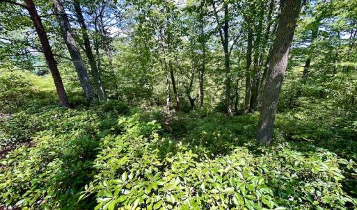 Photo #26 of Off Robin Ridge Court, Pittsville, VA 3.9 acres