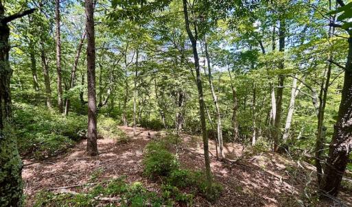 Photo #27 of Off Robin Ridge Court, Pittsville, VA 3.9 acres