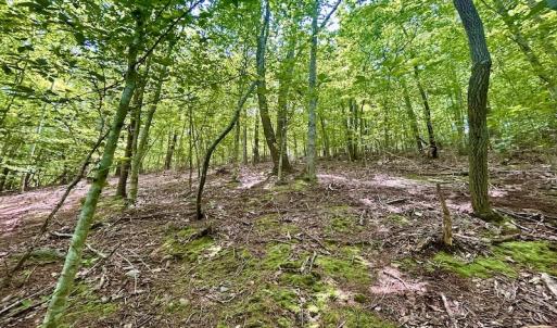 Photo #28 of Off Robin Ridge Court, Pittsville, VA 3.9 acres